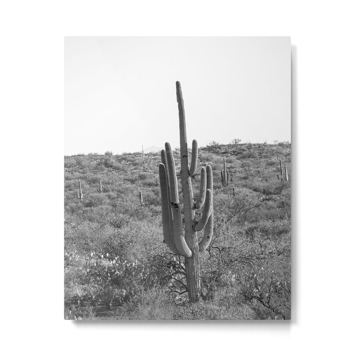 Arizona Landscape Photography x Saguaro National Park Metal Print Gallery Image 1