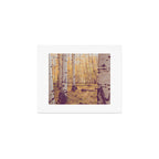 Aspen Grove Autumn Light x Colorado Landscape Photography Art Print Gallery Image 1
