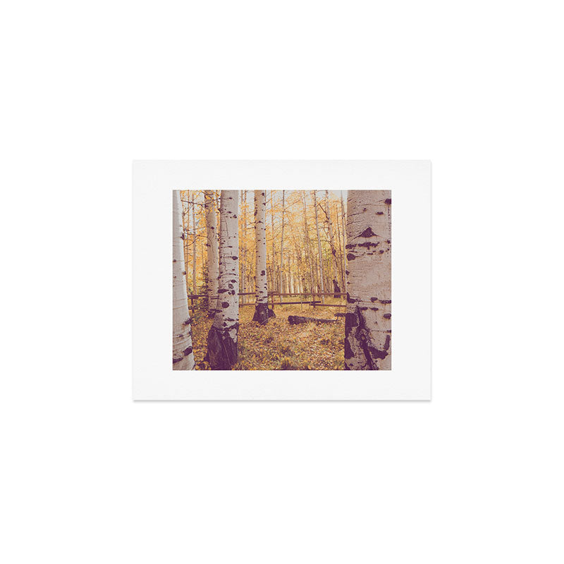 Aspen Grove Autumn Light x Colorado Landscape Photography Art Print Gallery Image 1