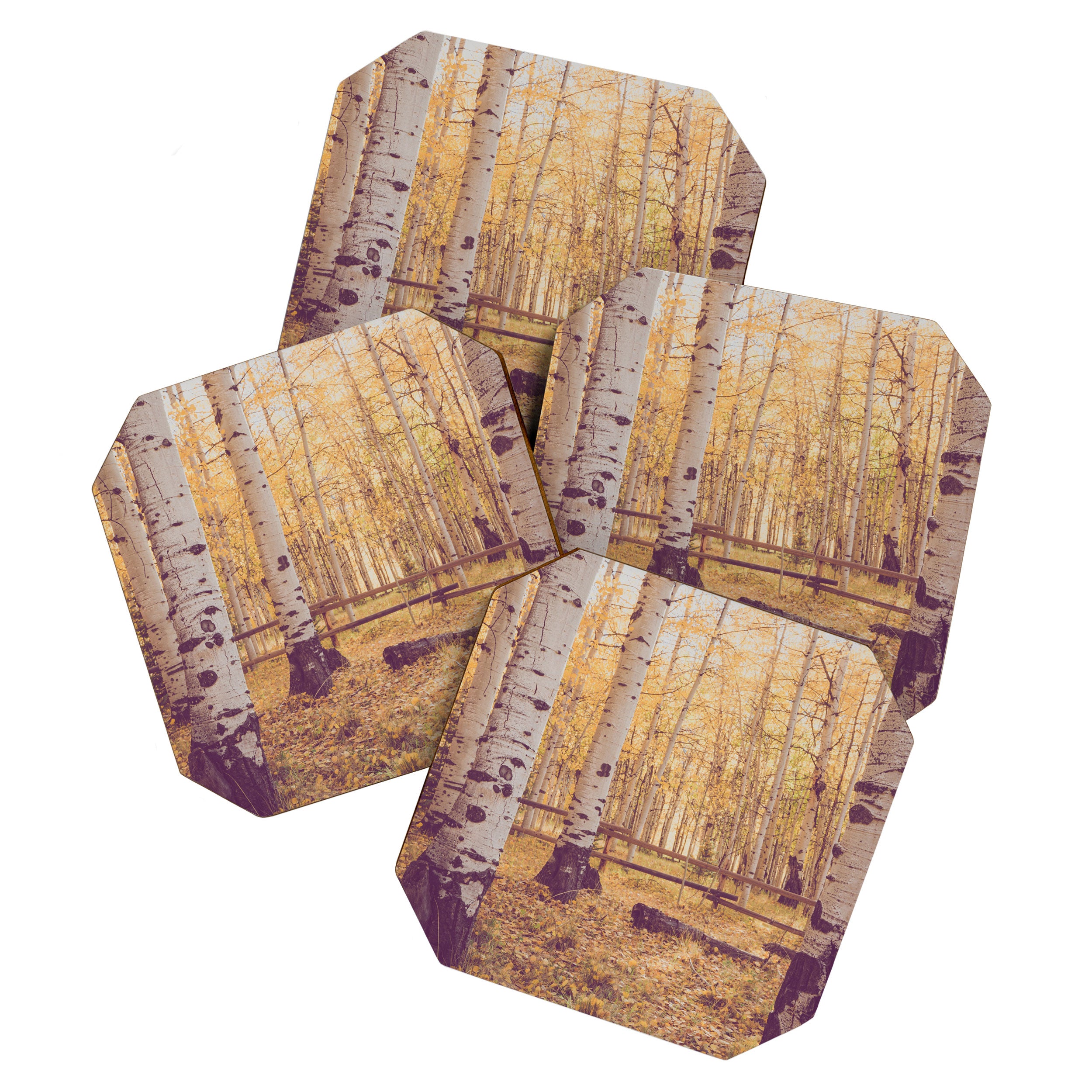 Aspen Grove Autumn Light x Colorado Landscape Photography Coaster Gallery Image 1