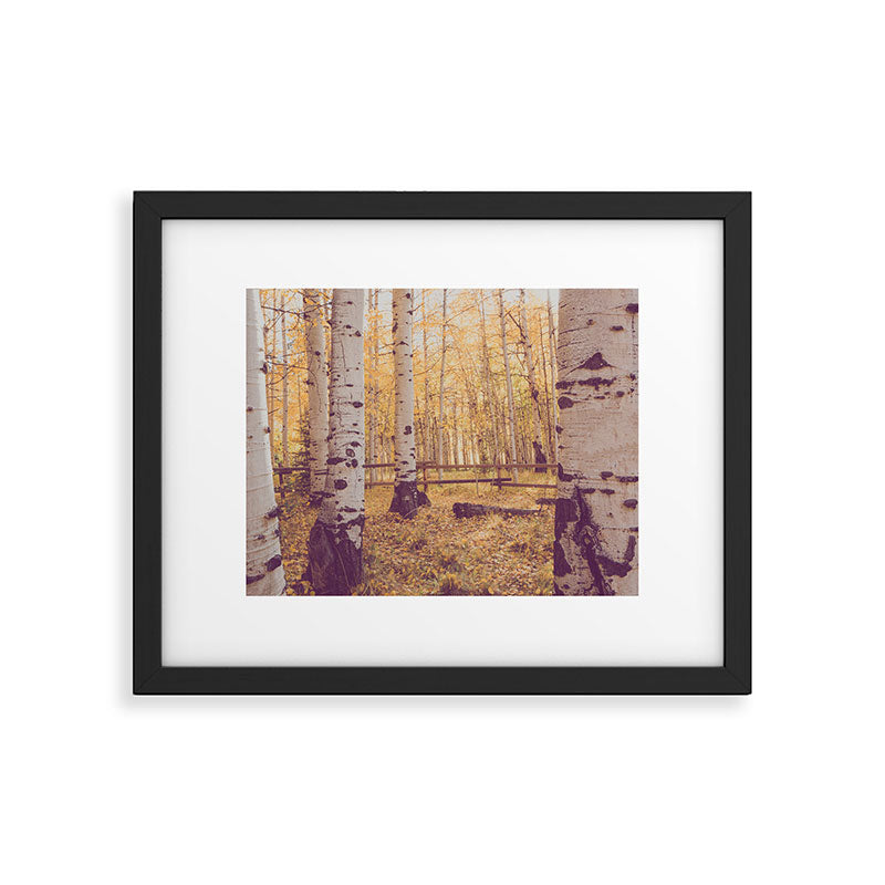 Aspen Grove Autumn Light x Colorado Landscape Photography Framed Art Print Gallery Image 5