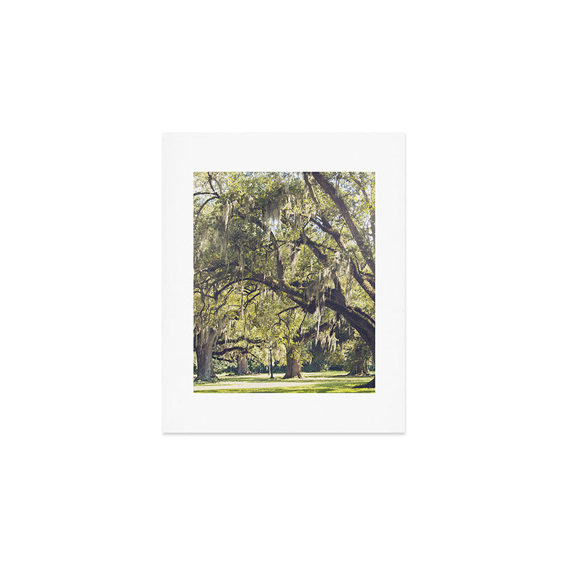 Audubon Park - New Orleans Art Print Gallery Image 1
