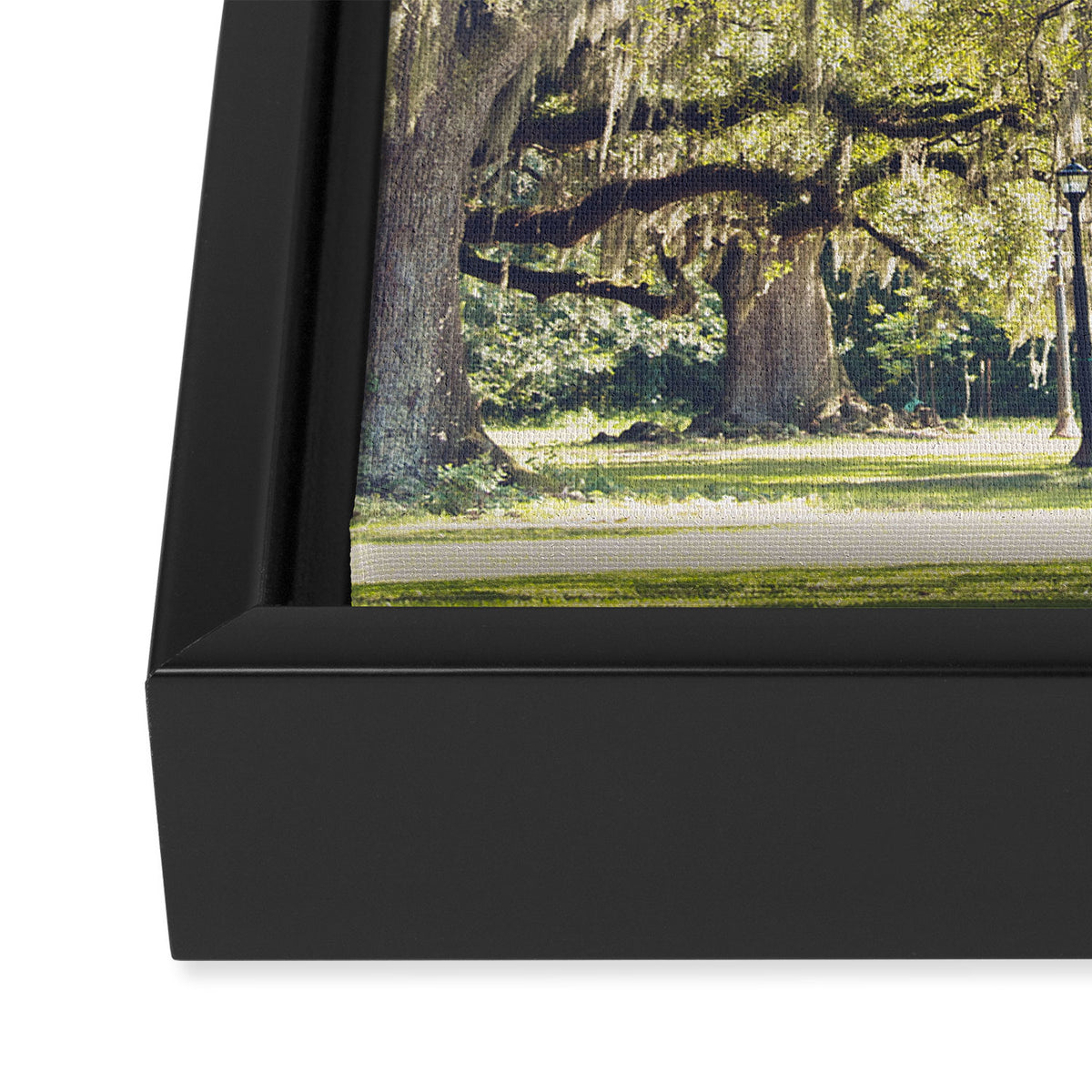 Audubon Park - New Orleans Framed Canvas Print Gallery Image 3