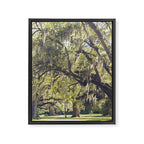 Audubon Park - New Orleans Framed Canvas Print Gallery Image 6