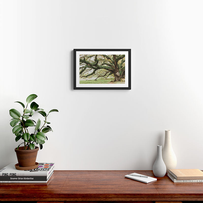 Audubon Park New Orleans  Framed Art Print Gallery Image 2