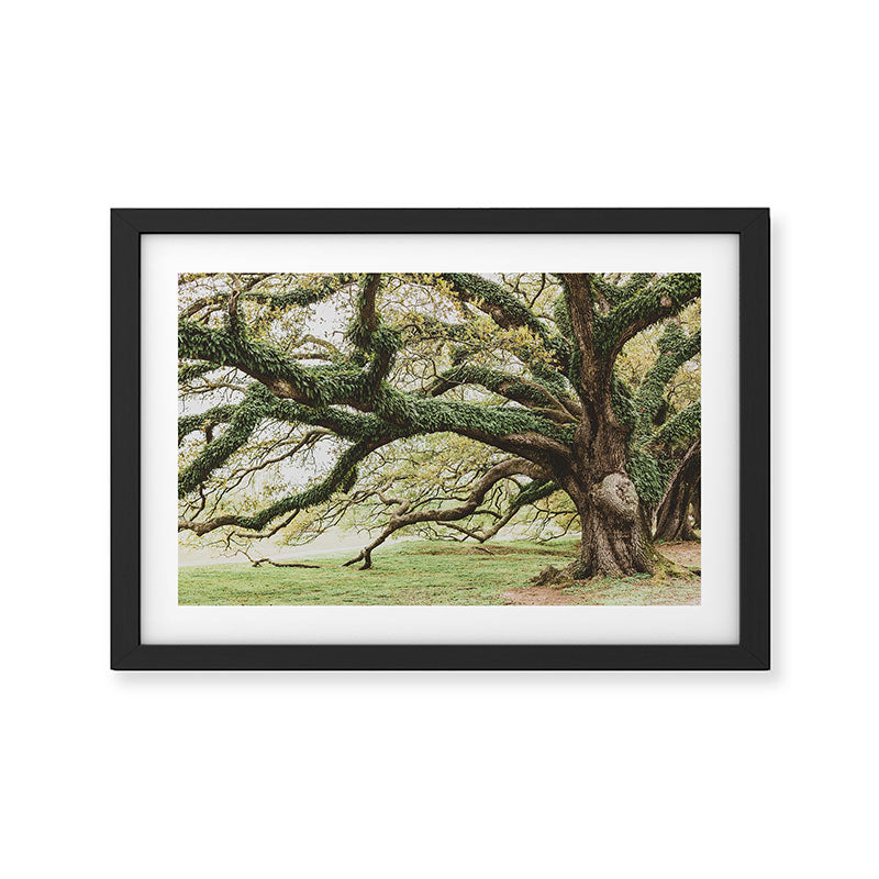 Audubon Park New Orleans  Framed Art Print Gallery Image 2
