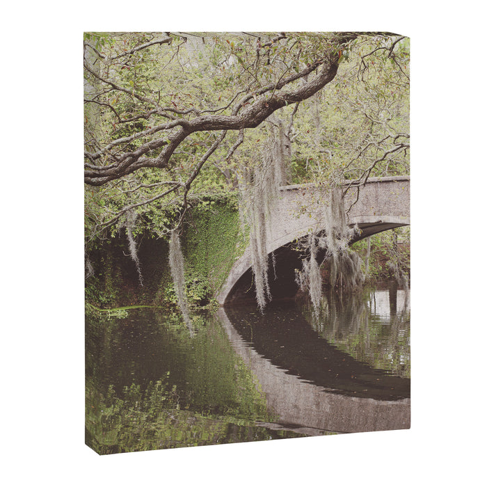 Audubon Park Reflections x New Orleans Photography Canvas Print Gallery Image 1