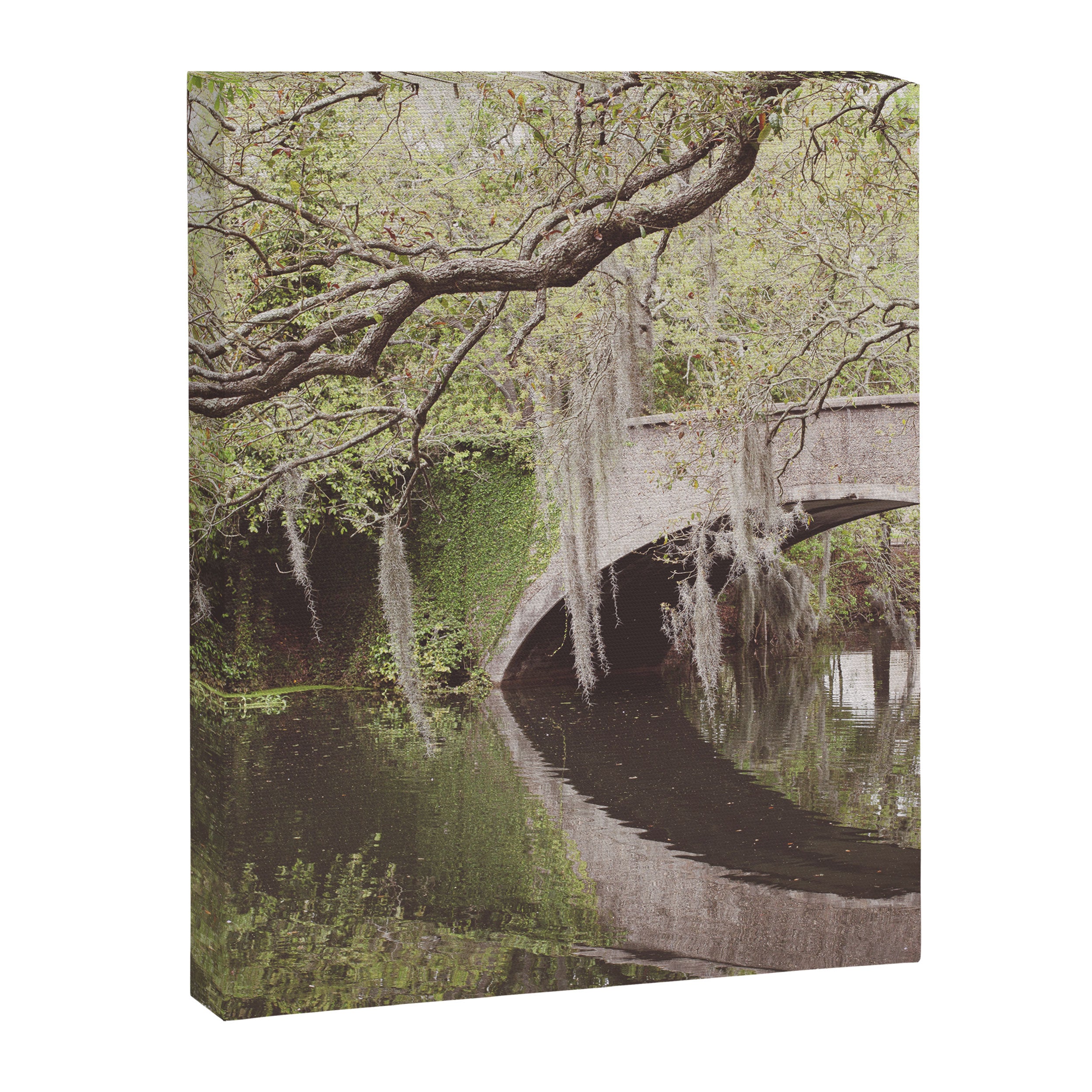 Audubon Park Reflections x New Orleans Photography Canvas Print Gallery Image 6