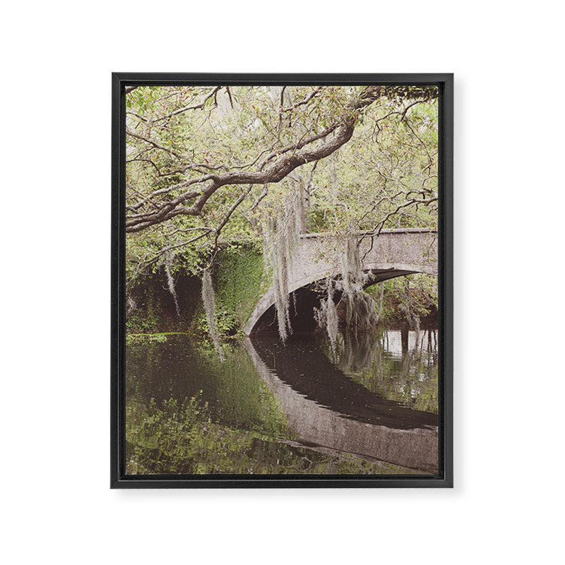 Audubon Park Reflections x New Orleans Photography Framed Canvas Print Gallery Image 6