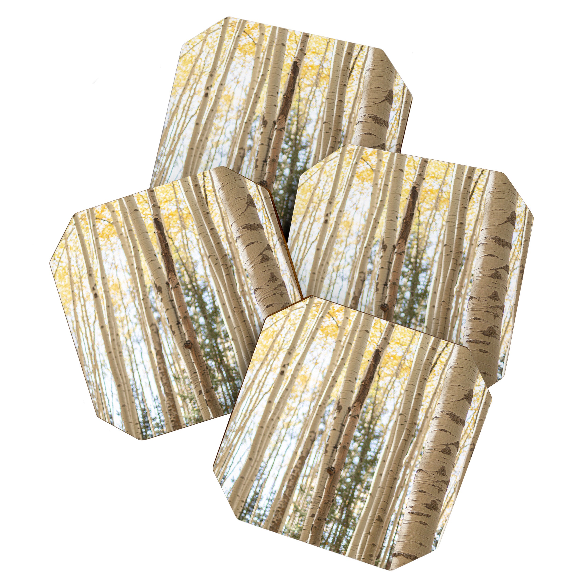Autumn Aspen Forest Colorado Photography Coaster Gallery Image 1
