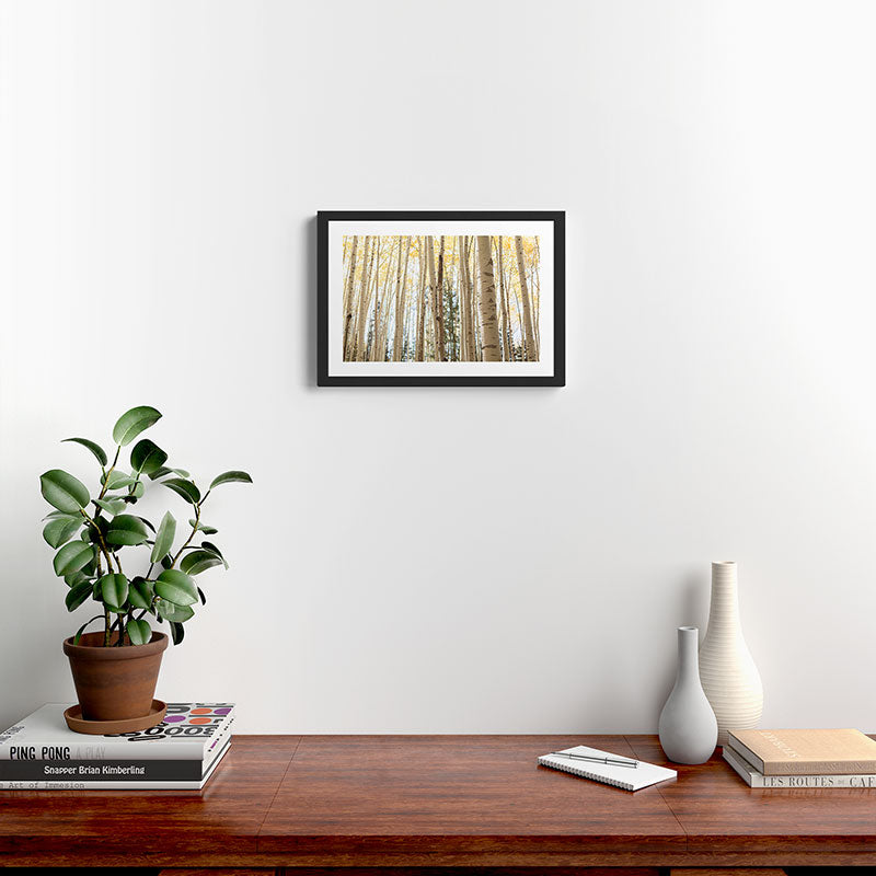 Autumn Aspen Forest Colorado Photography Framed Art Print Gallery Image 2