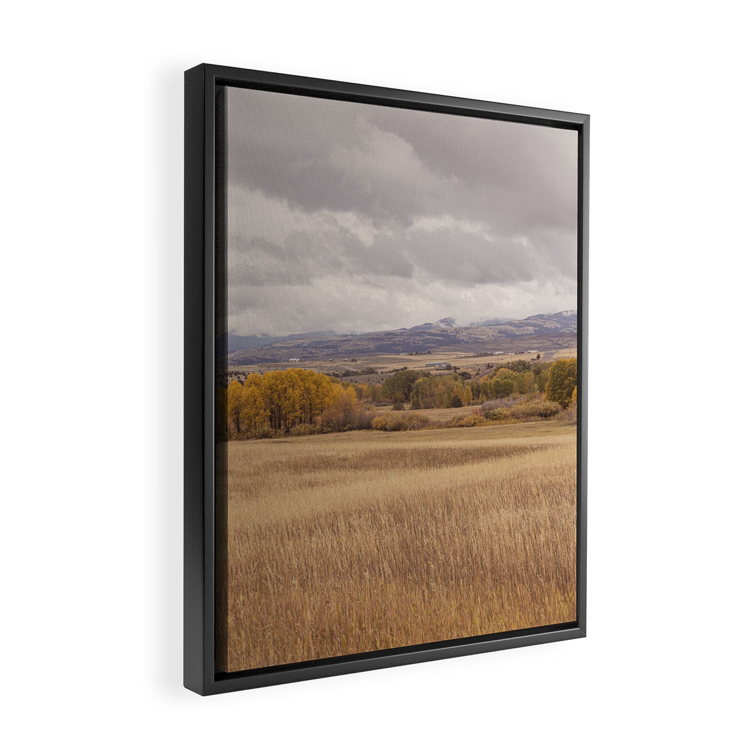 Autumn in Montana | Montana Photography Framed Canvas Print Gallery Image 2