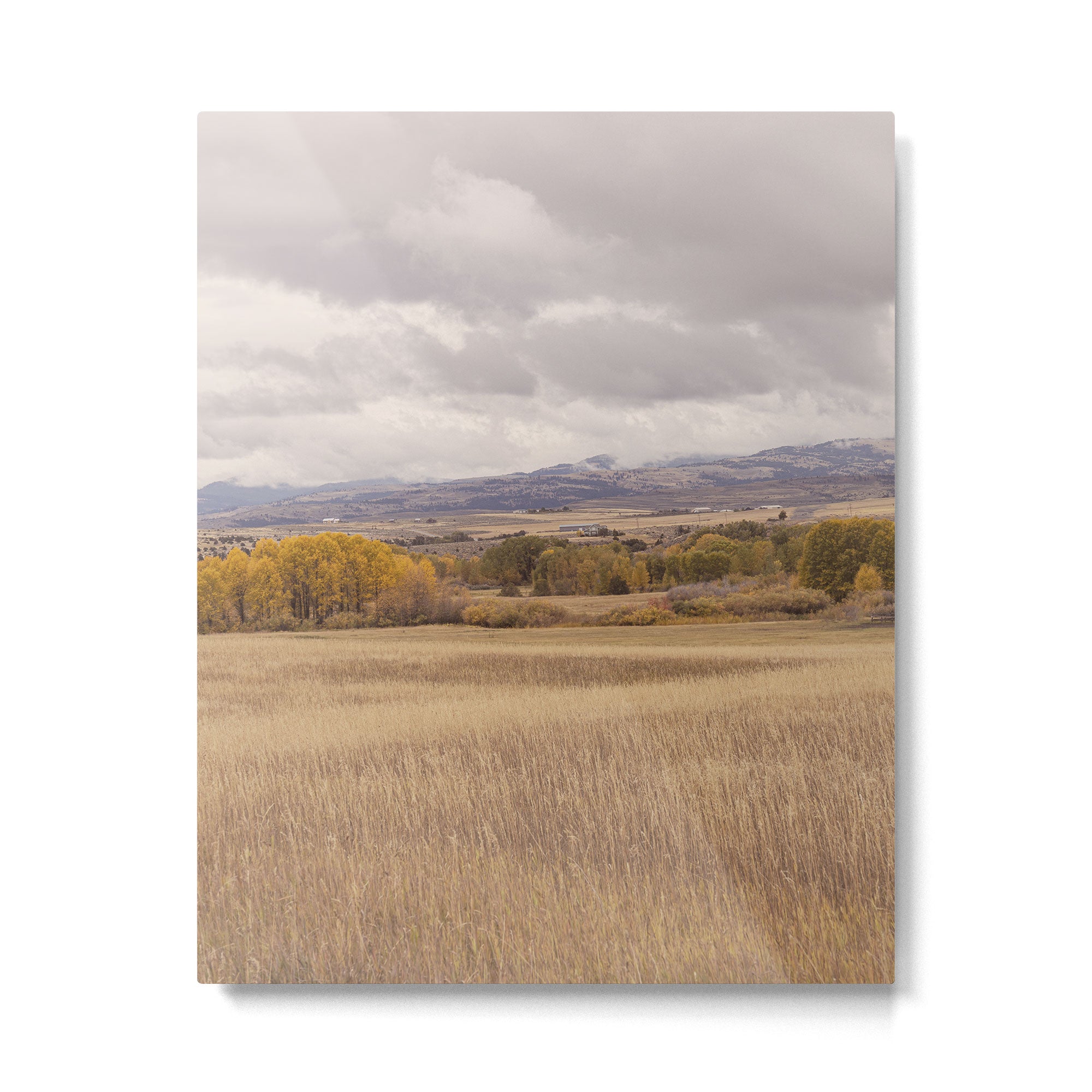 Autumn in Montana | Montana Photography Metal Print Gallery Image 4