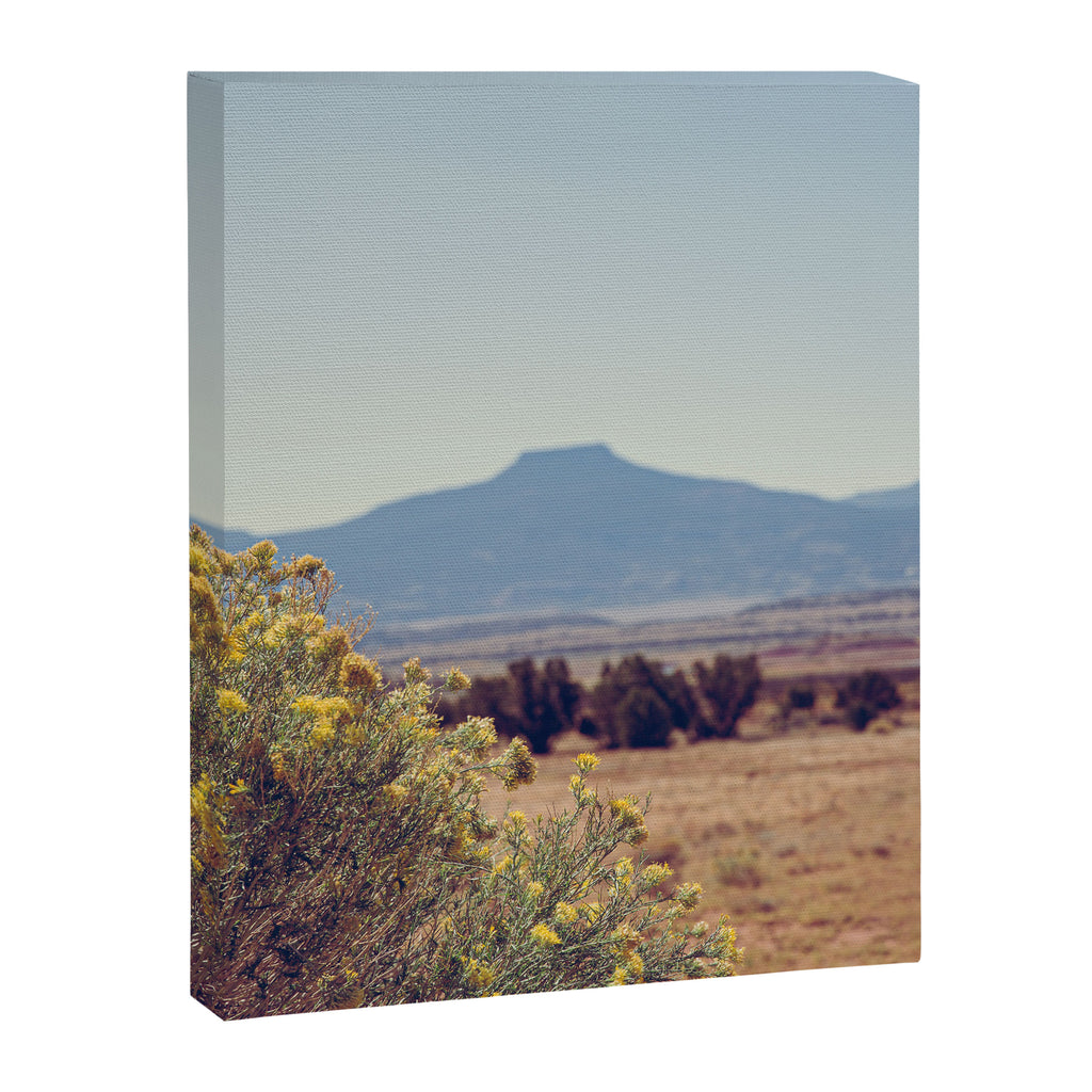 Autumn in New Mexico I Canvas Print Gallery Image 6