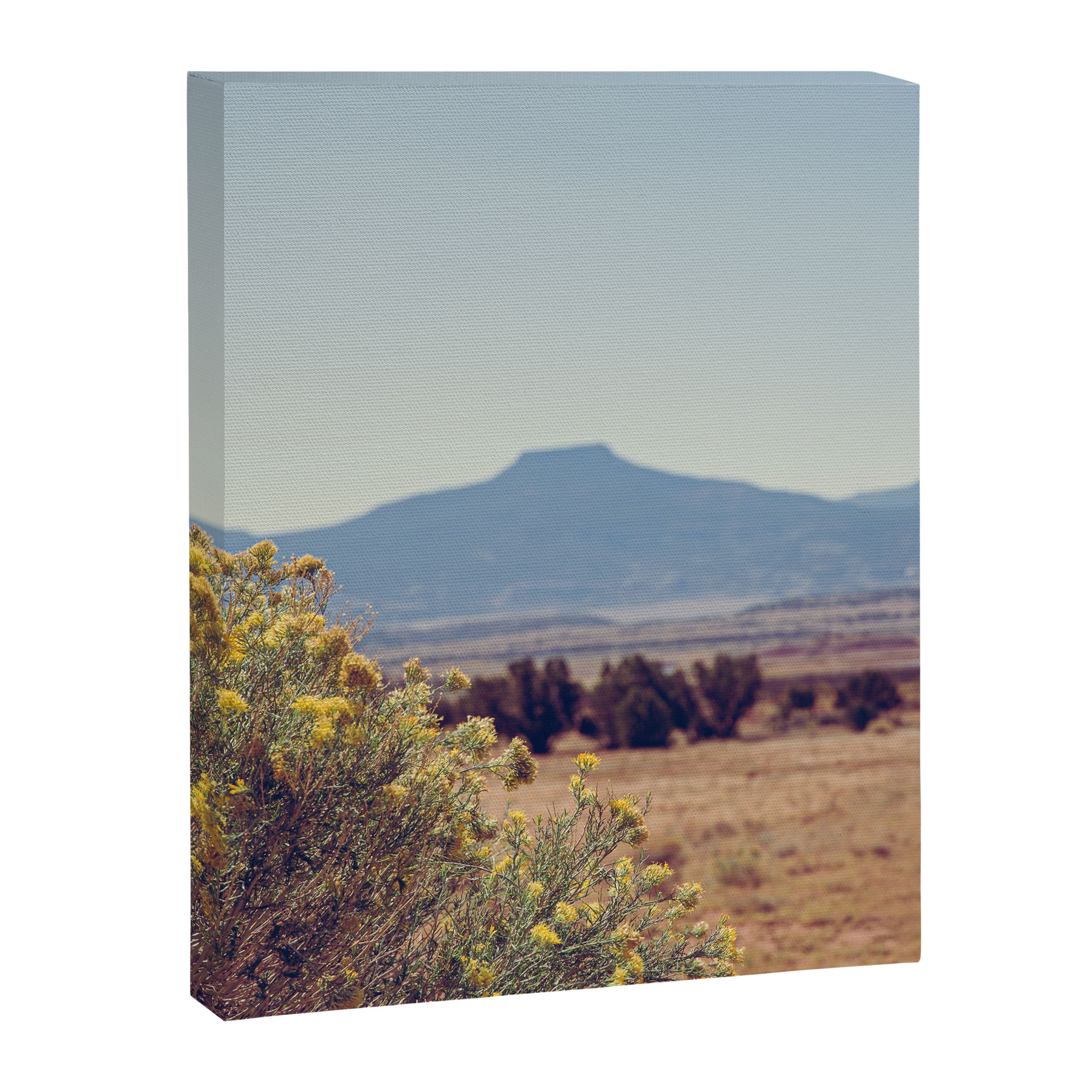 Autumn in New Mexico I Canvas Print Gallery Image 6