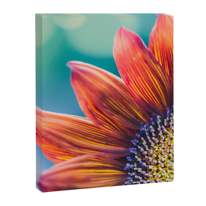 Autumn Welcome Canvas Print Gallery Image 1