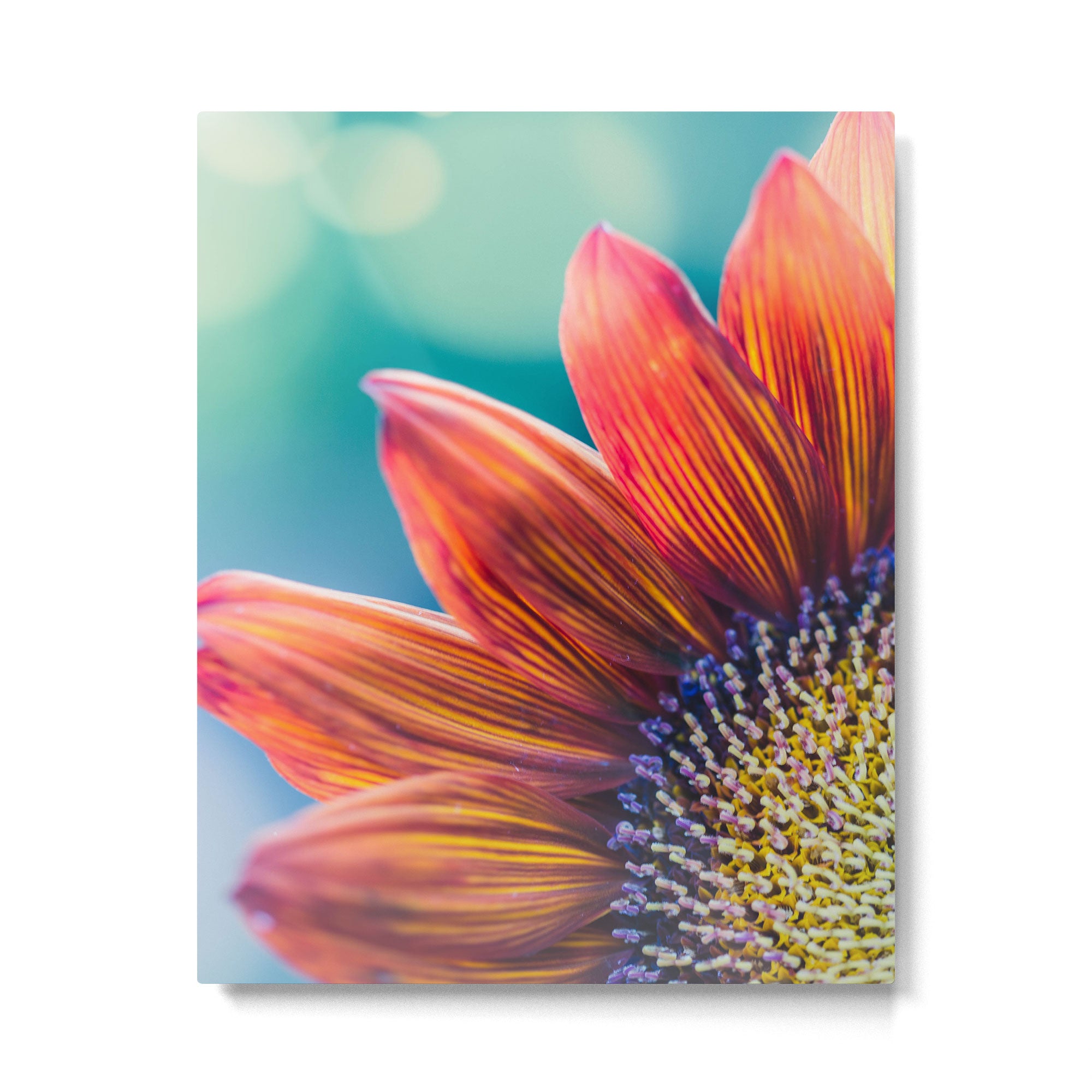 Autumn Welcome Metal Print Gallery Image 4