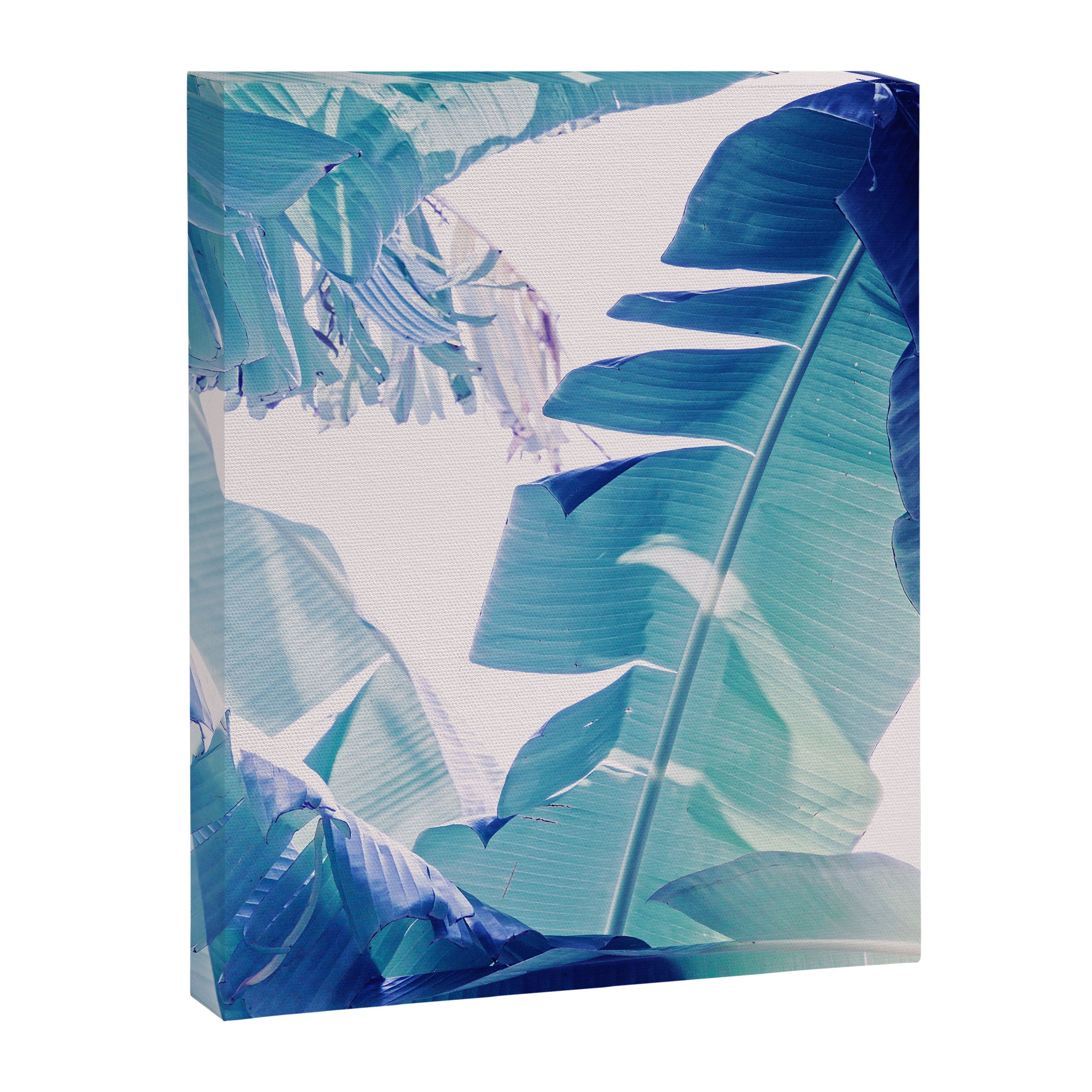 Banana Leaf Blue Canvas Print Gallery Image 6