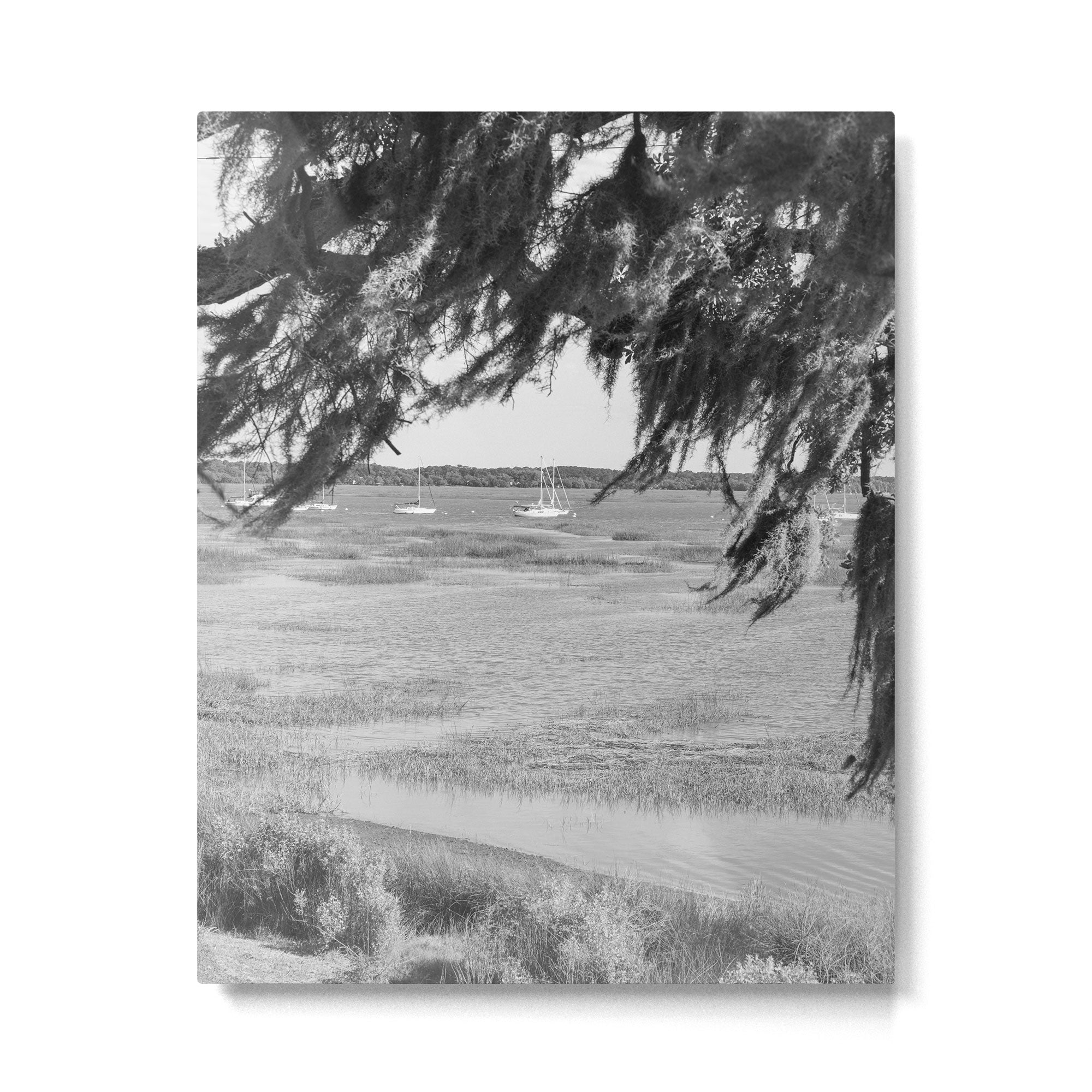 Beaufort South Carolina Spanish Moss and Sailboats Photography Metal Print Gallery Image 4