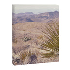 Big Bend National Park Sotol Overlook x West Texas Photography Canvas Print Gallery Image 6