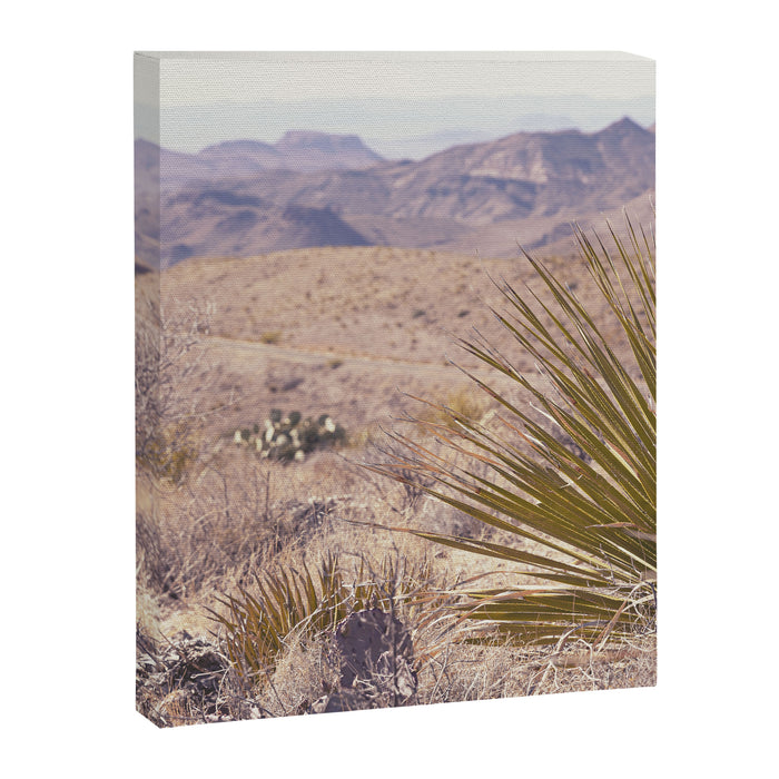 Big Bend National Park Sotol Overlook x West Texas Photography Canvas Print Gallery Image 1