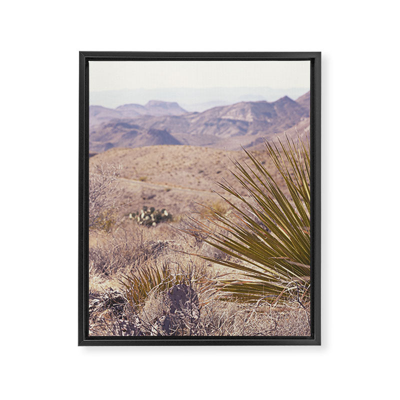 Big Bend National Park Sotol Overlook x West Texas Photography Framed Canvas Print Gallery Image 6
