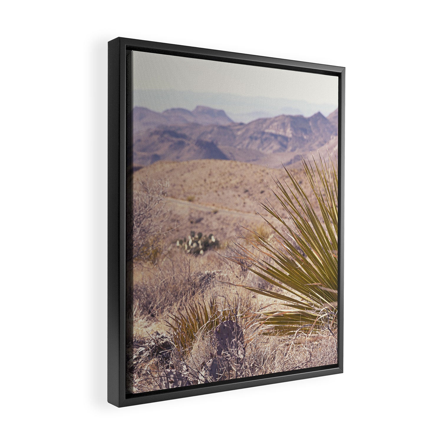 Big Bend National Park Sotol Overlook x West Texas Photography Framed Canvas Print Gallery Image 2