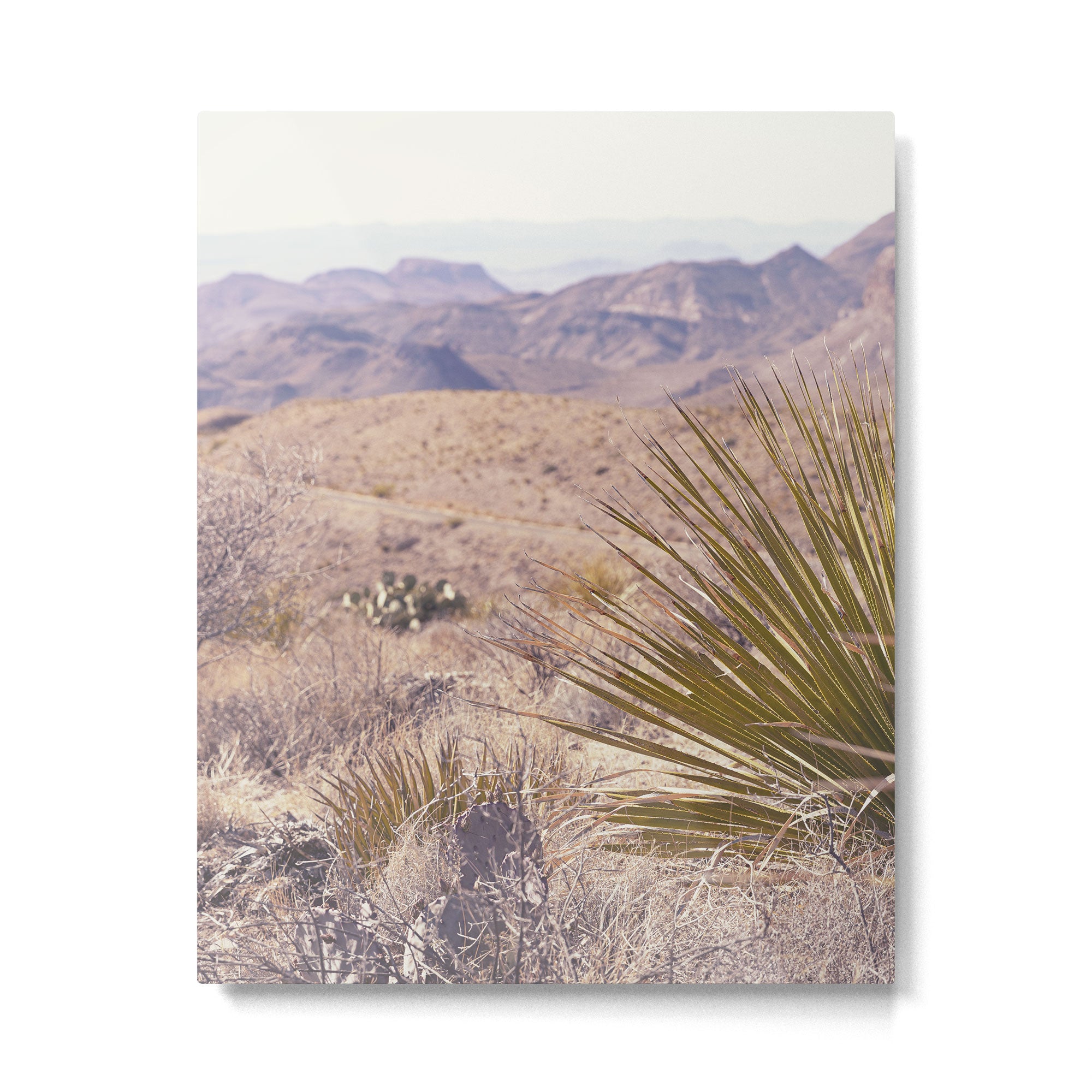 Big Bend National Park Sotol Overlook x West Texas Photography Metal Print Gallery Image 4