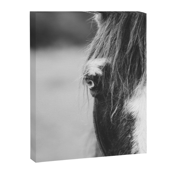 Blue Eye - horse photography Canvas Print Gallery Image 1