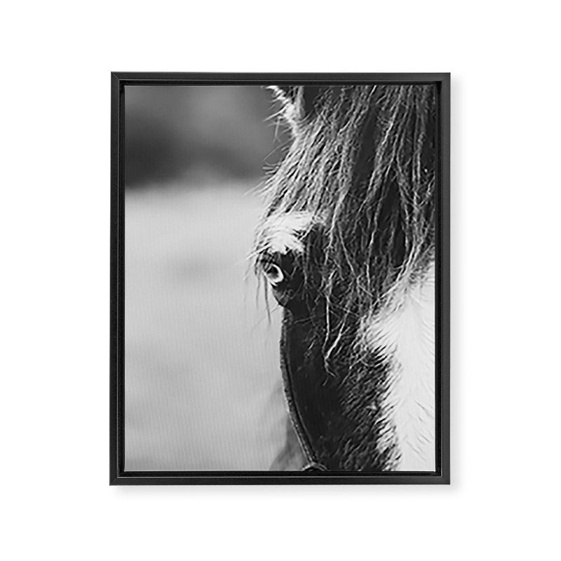 Blue Eye - horse photography Framed Canvas Print Gallery Image 6