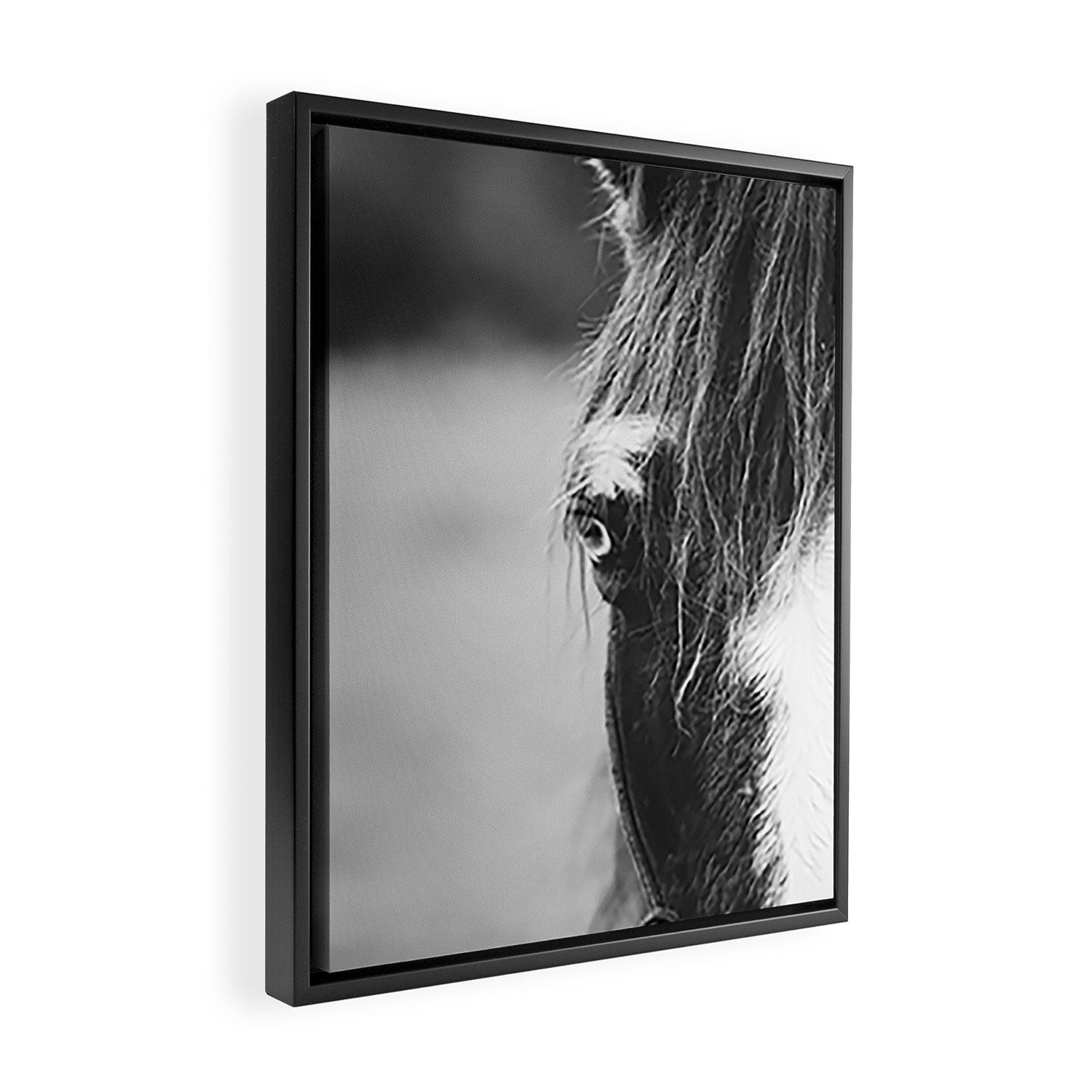 Blue Eye - horse photography Framed Canvas Print Gallery Image 2