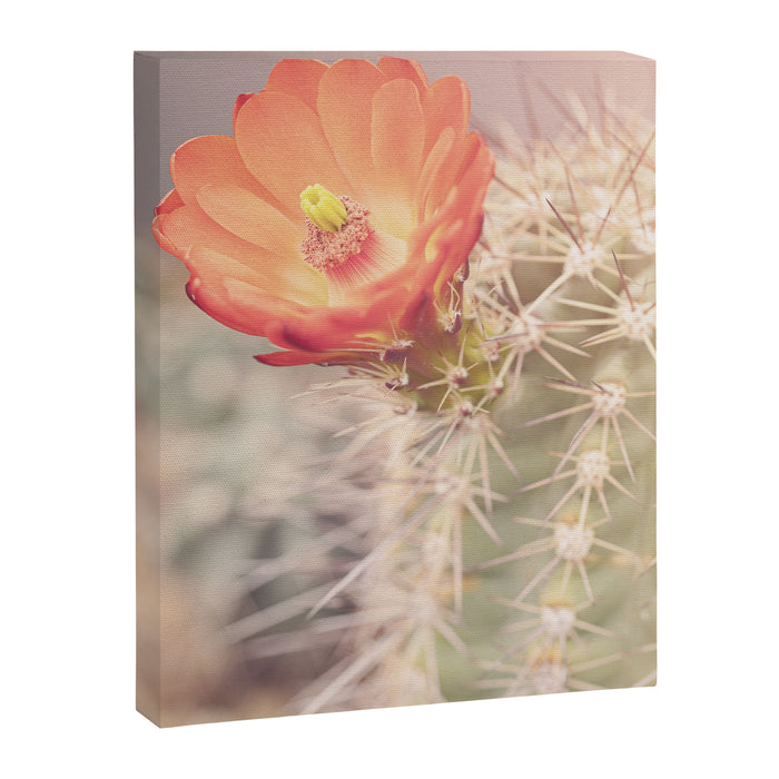 Cactus Bloom x West Texas Photography Canvas Print Gallery Image 1