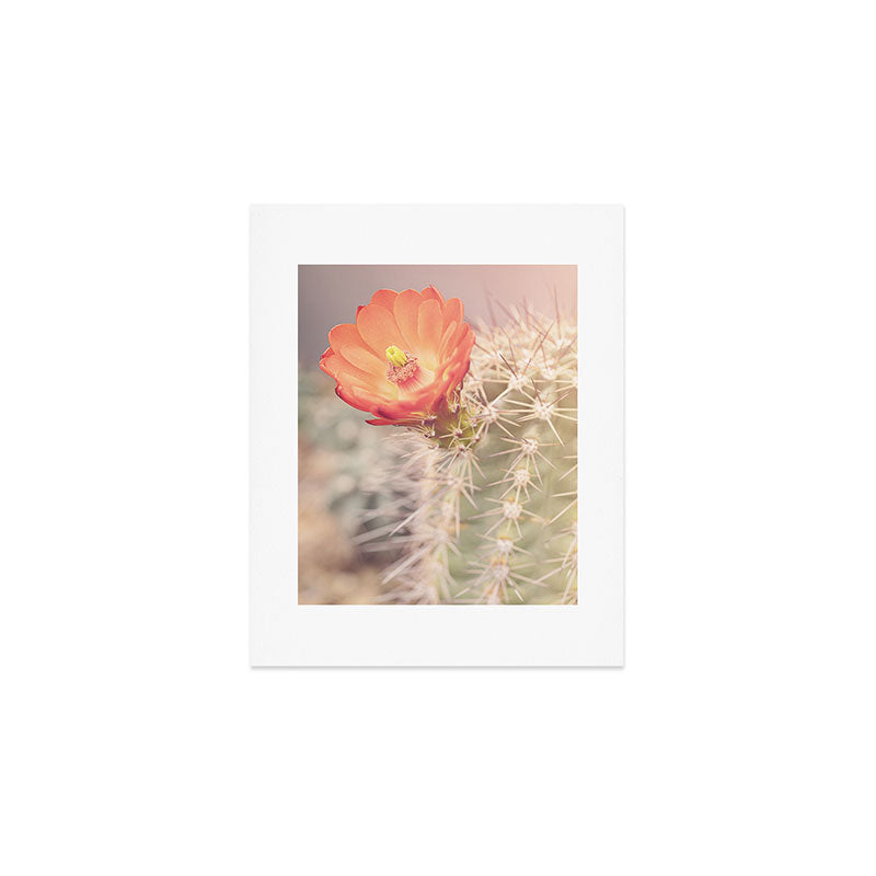 Cactus Bloom x West Texas Photography Art Print Gallery Image 1