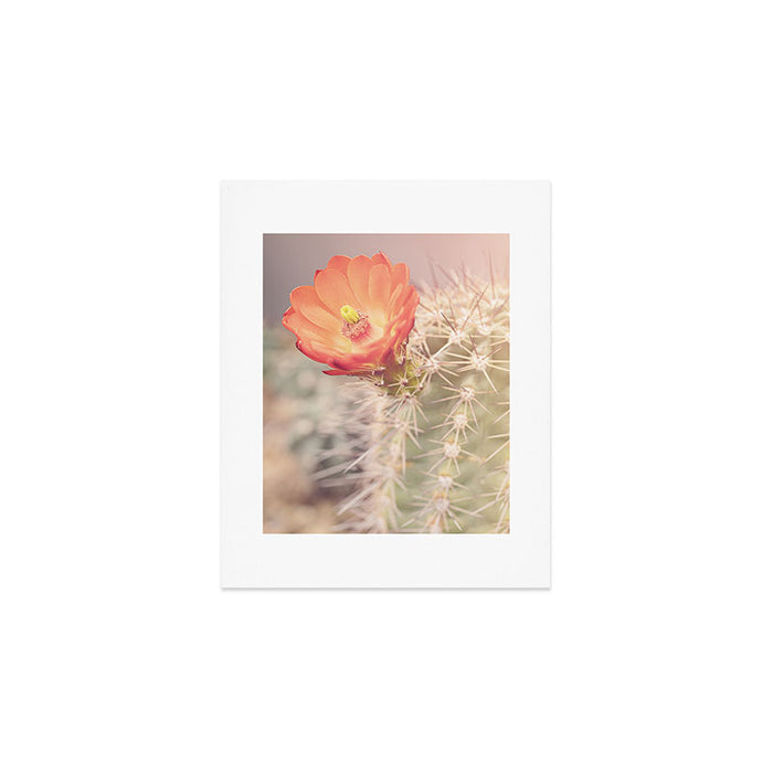 Cactus Bloom x West Texas Photography Art Print Gallery Image 1
