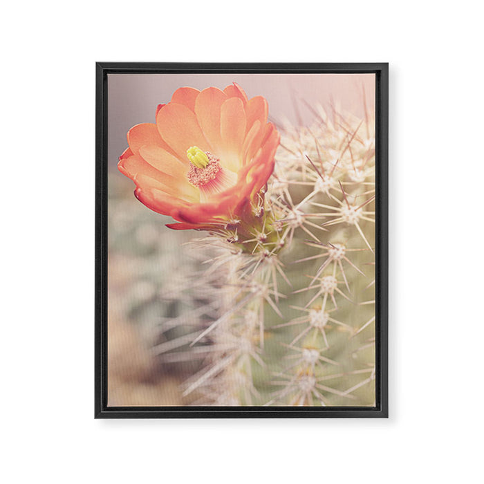Cactus Bloom x West Texas Photography Framed Canvas Print Gallery Image 1