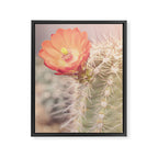Cactus Bloom x West Texas Photography Framed Canvas Print Gallery Image 6