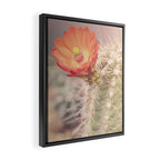 Cactus Bloom x West Texas Photography Framed Canvas Print Gallery Image 2