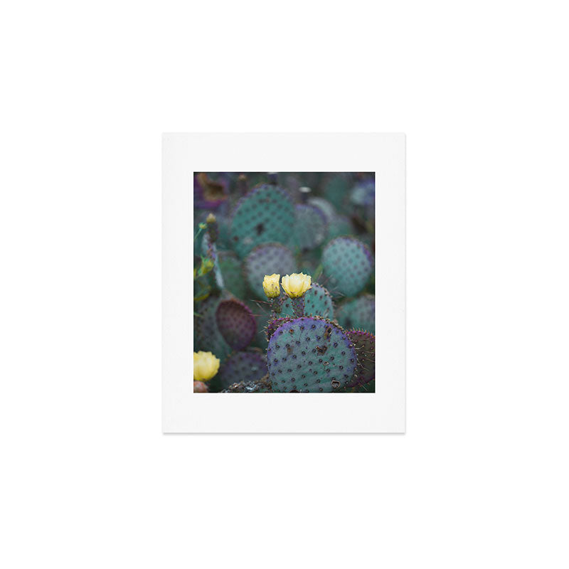 Cactus Blooms Art Print Gallery Image 1