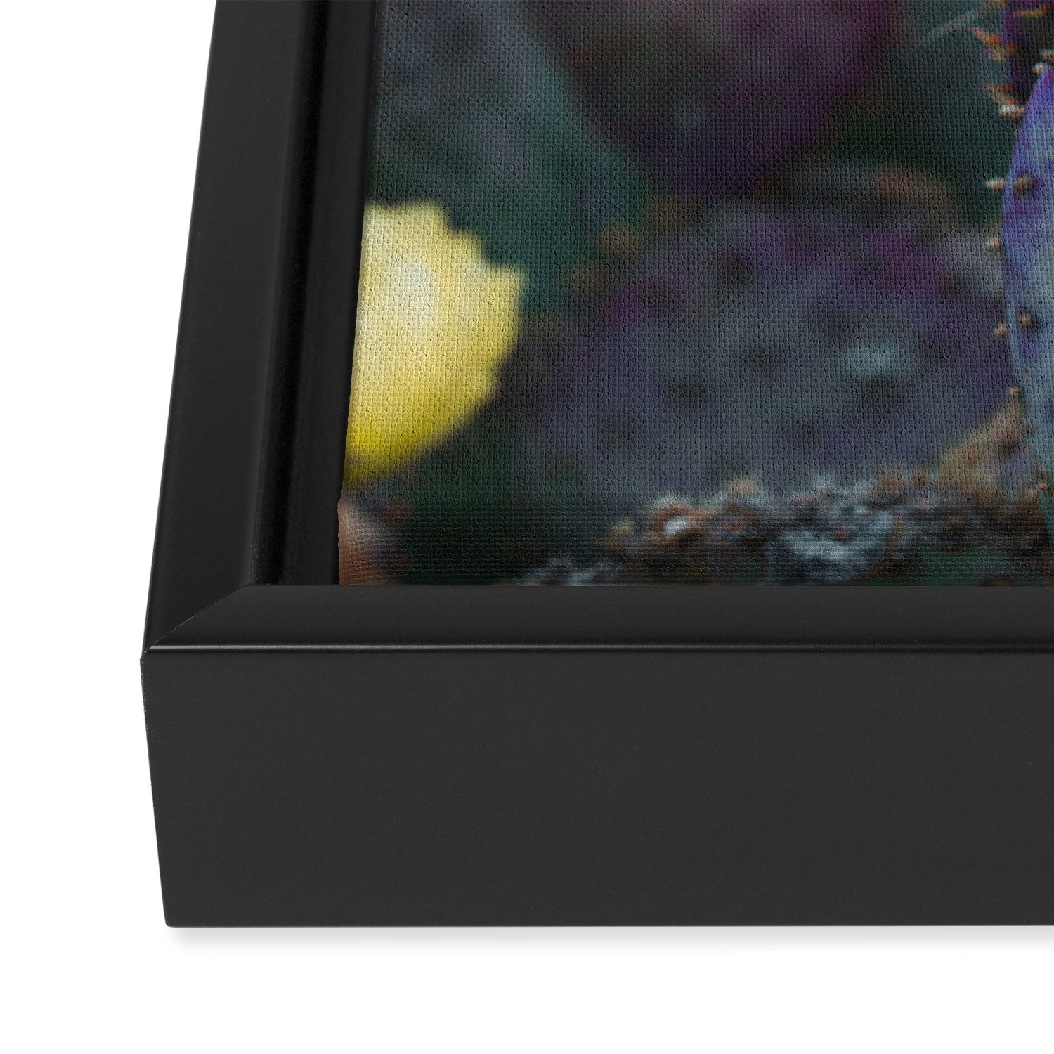 Cactus Blooms Framed Canvas Print Gallery Image 3