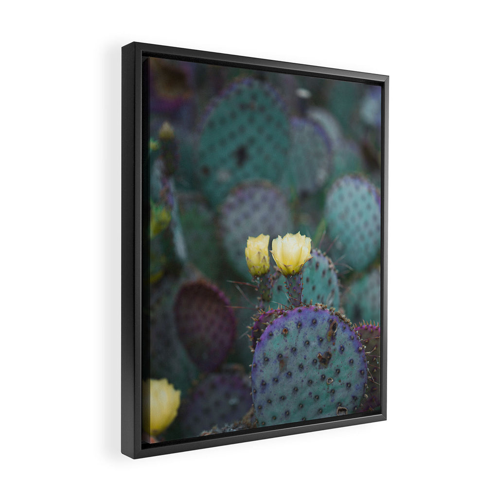 Cactus Blooms Framed Canvas Print Gallery Image 2