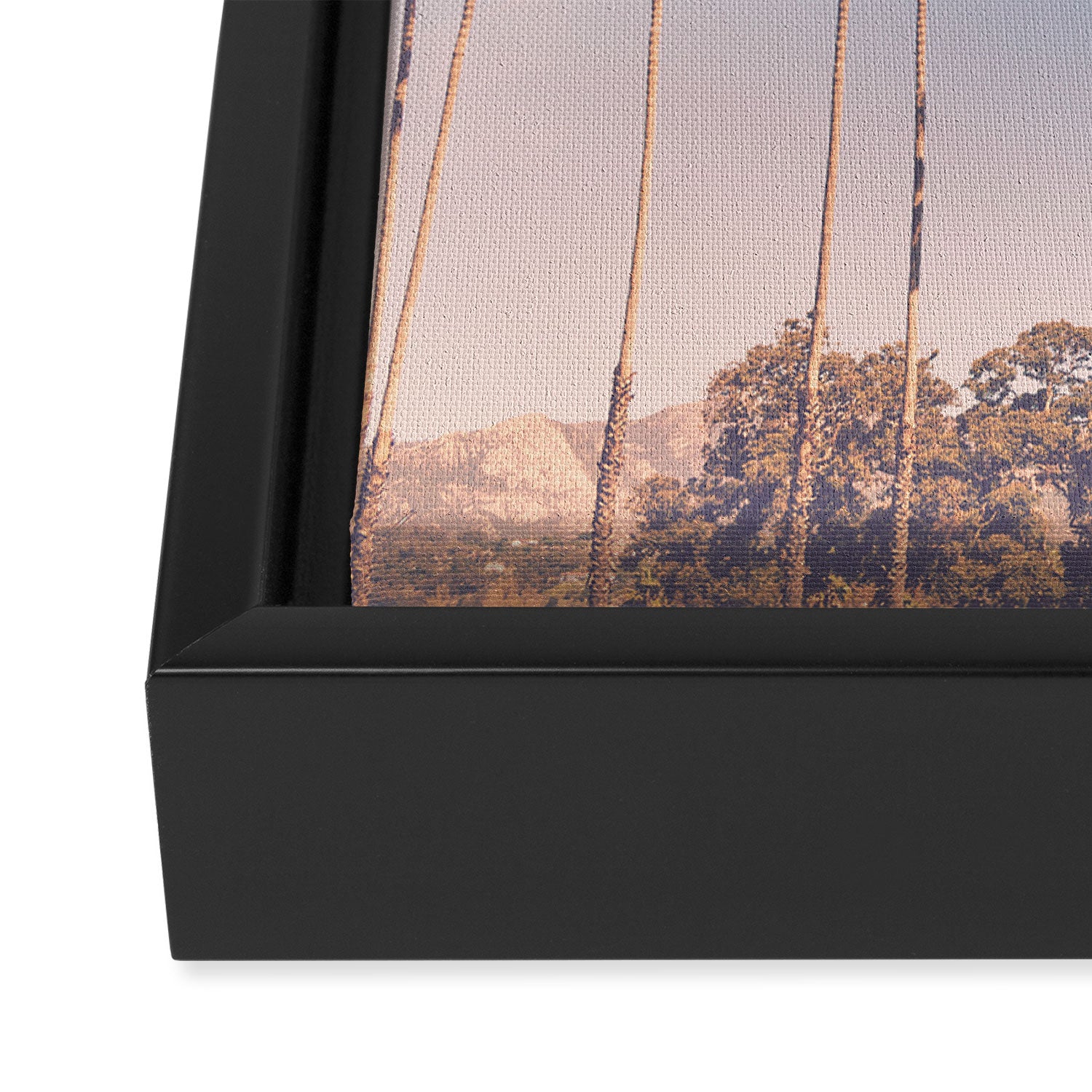 Cali Life, No. 3 Framed Canvas Print Gallery Image 3