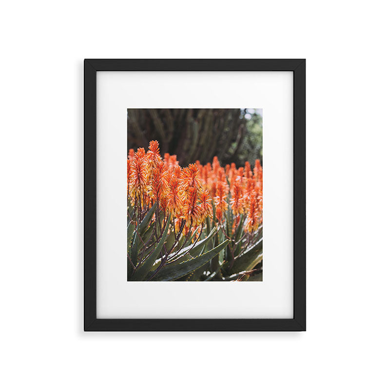 California Coastal Botanical Art x Coastal Aloe Blooms Framed Art Print Gallery Image 5