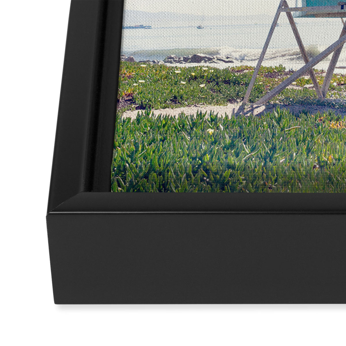 California Summer Framed Canvas Print Gallery Image 3
