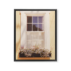 Charleston South Carolina Window Box photography Framed Canvas Print Gallery Image 6