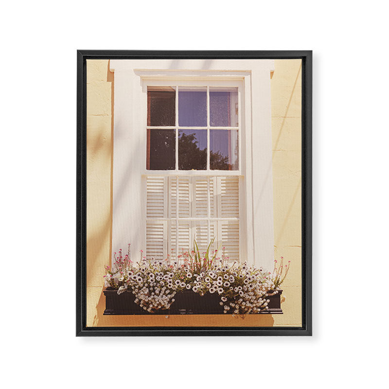 Charleston South Carolina Window Box photography Framed Canvas Print Gallery Image 6