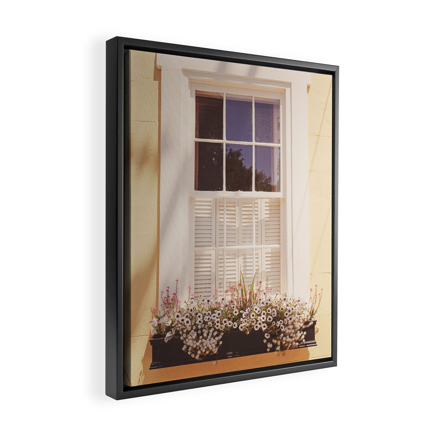 Charleston South Carolina Window Box photography Framed Canvas Print Gallery Image 2
