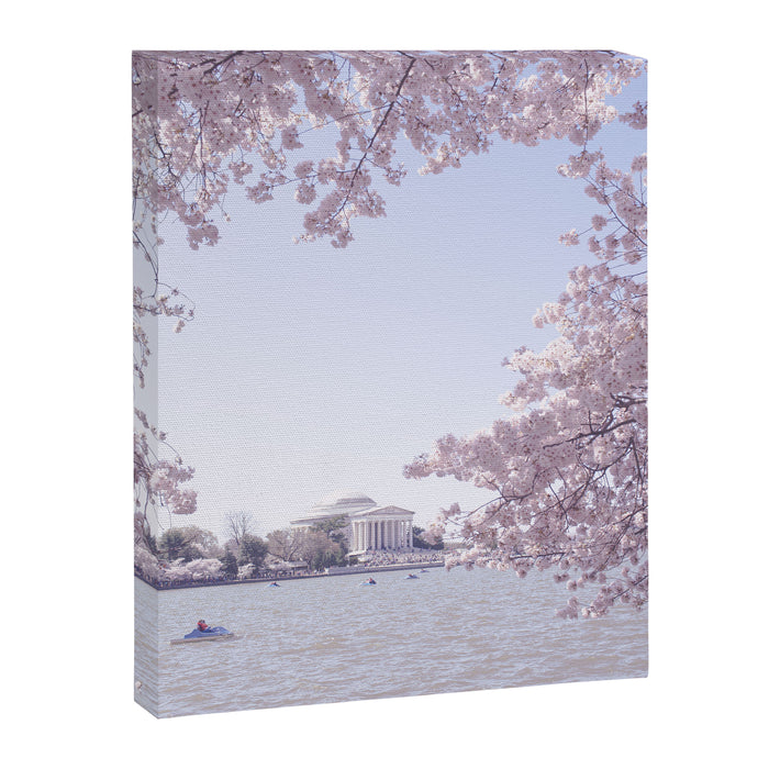 Cherry Blossoms in Washington DC x DC Photography Canvas Print Gallery Image 1