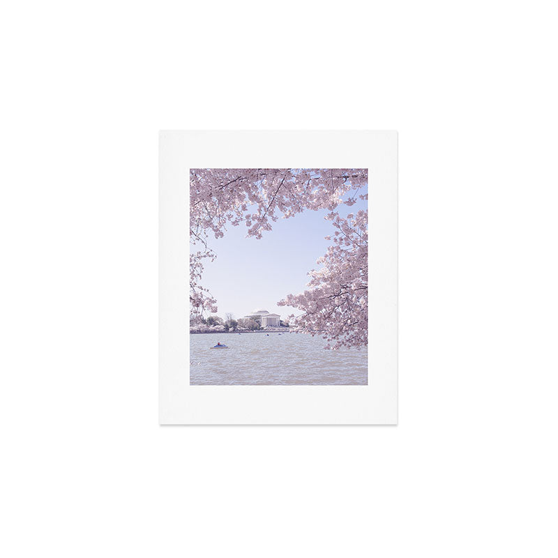Cherry Blossoms in Washington DC x DC Photography Art Print Gallery Image 1