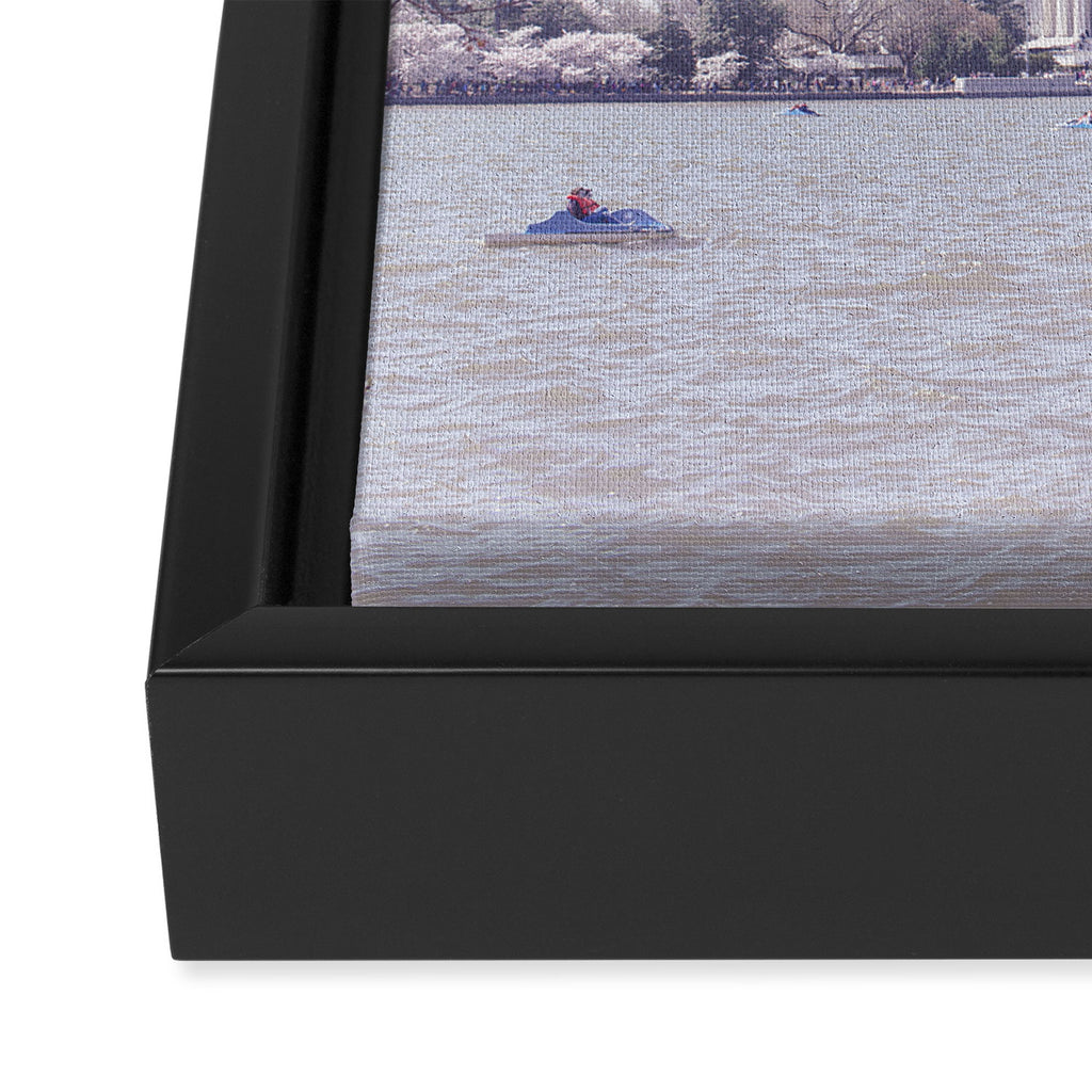 Cherry Blossoms in Washington DC x DC Photography Framed Canvas Print Gallery Image 3
