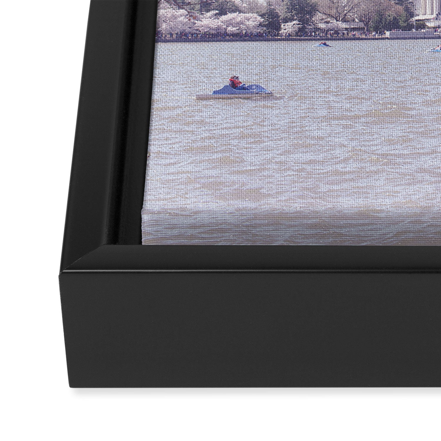 Cherry Blossoms in Washington DC x DC Photography Framed Canvas Print Gallery Image 3